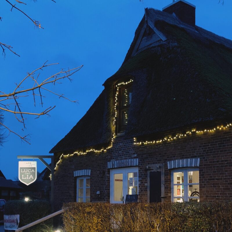 Weihnachtsmarkt Tannenbäume Glühwein