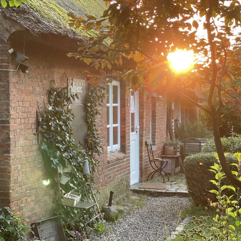 Sonnenuntergang im Kaffeegarten