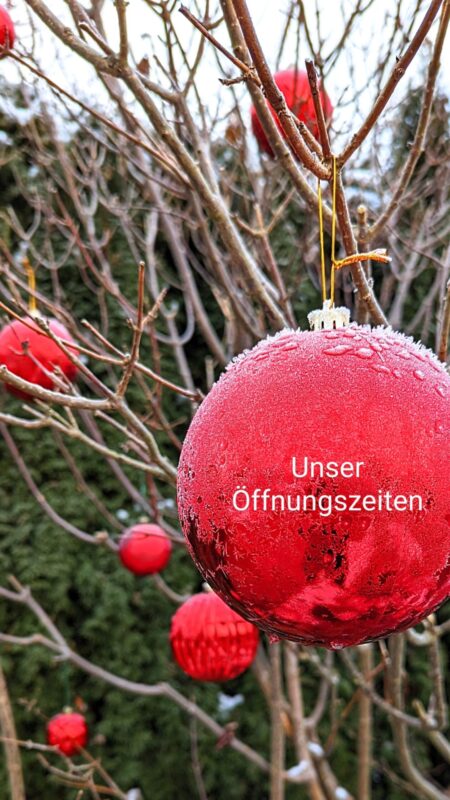 Weihnachtskugel vereist